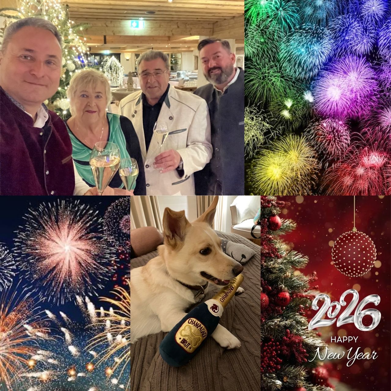 Eine Collage mit vier Erwachsenen, die mit Weinglasen anstoßen, einem Hund mit einer Champagnerflasche, Feuerwerk und einem Weihnachtsbaum mit der Nachricht 2026 Frohes Neues Jahr.