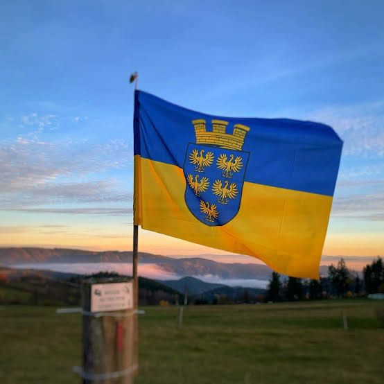 A flag with a blue and yellow design is hoisted on a pole in an open field. The flag features a golden eagle with a crown. The sky is blue with a few clouds. Mountains and trees are in the distance.