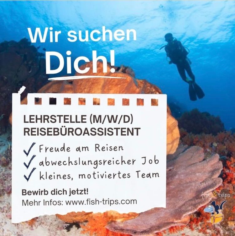 A scuba diver explores underwater. A recruitment ad for a travel agency assistant, emphasizing a travel-loving, diverse team. The ad includes a website link for more information.