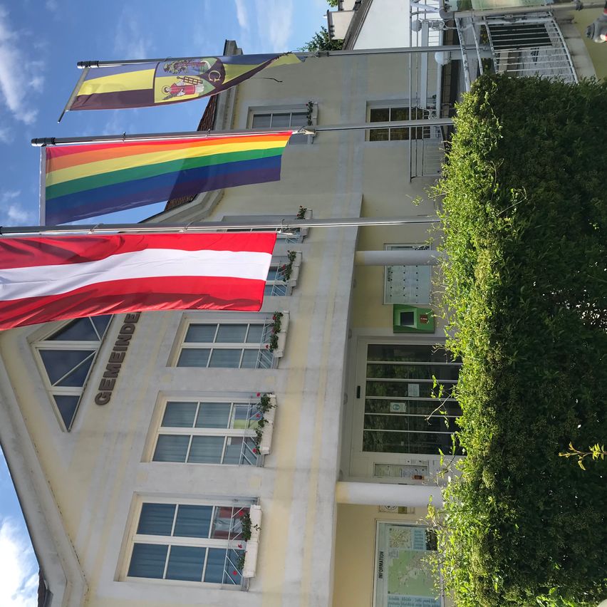 A building with several flags hoisted on poles, including a rainbow flag and a flag of Austria. The building has multiple windows and a green hedge on the right side.
