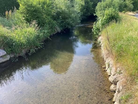A serene river with clear water flowing through a lush green landscape, surrounded by dense vegetation and rocks on the side.