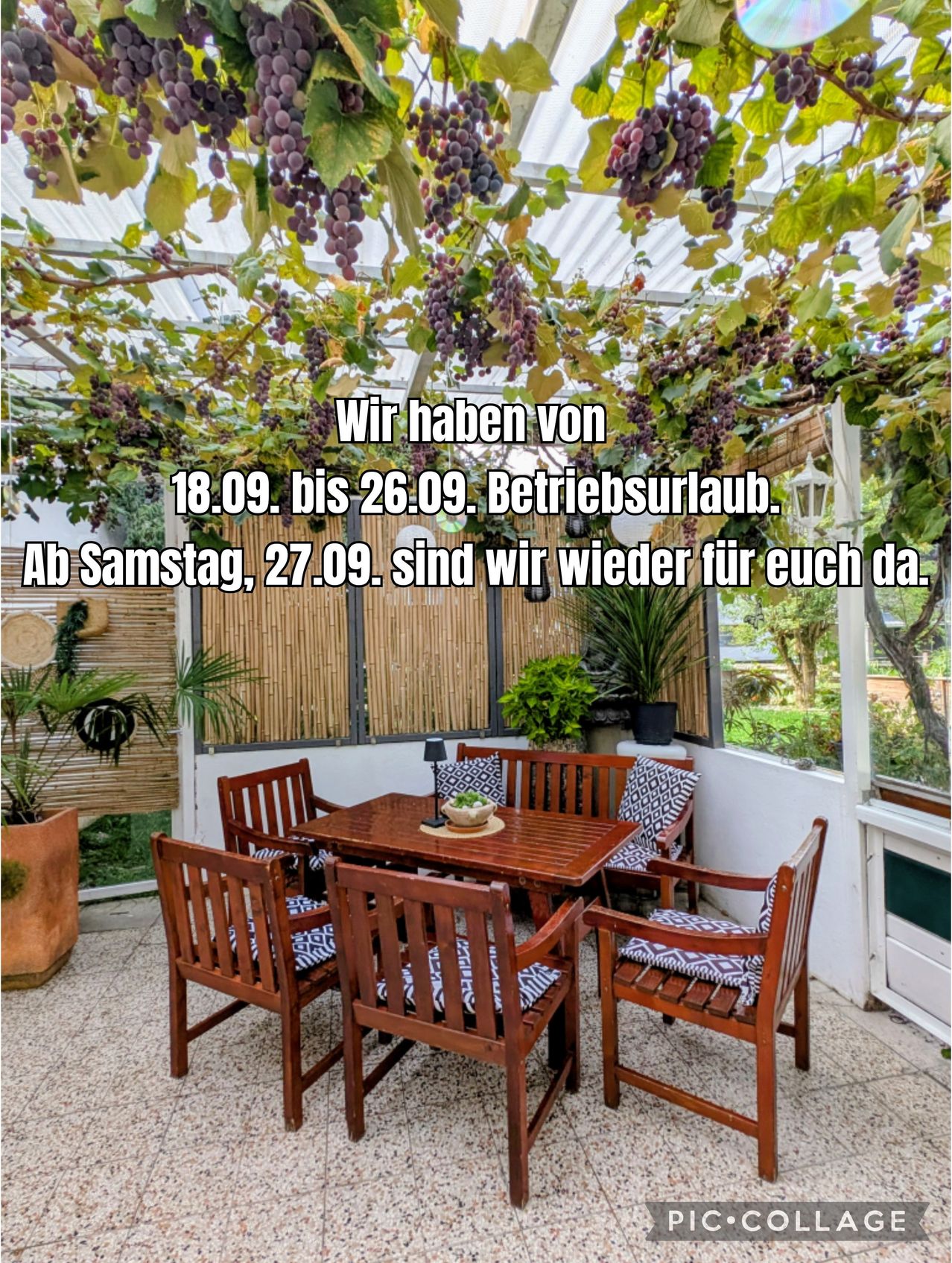 Ein Patio mit Holzstühlen um einen Tisch, Weinreben mit Trauben darüber und ein Hinweis, dass sie vom 18. bis 26. September geschlossen sind.
