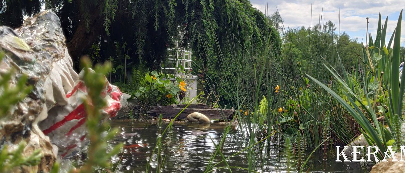 Bild enthält, Nature, Outdoors, Pond, Water, Land, Plant, Vegetation, Tree, Rock
