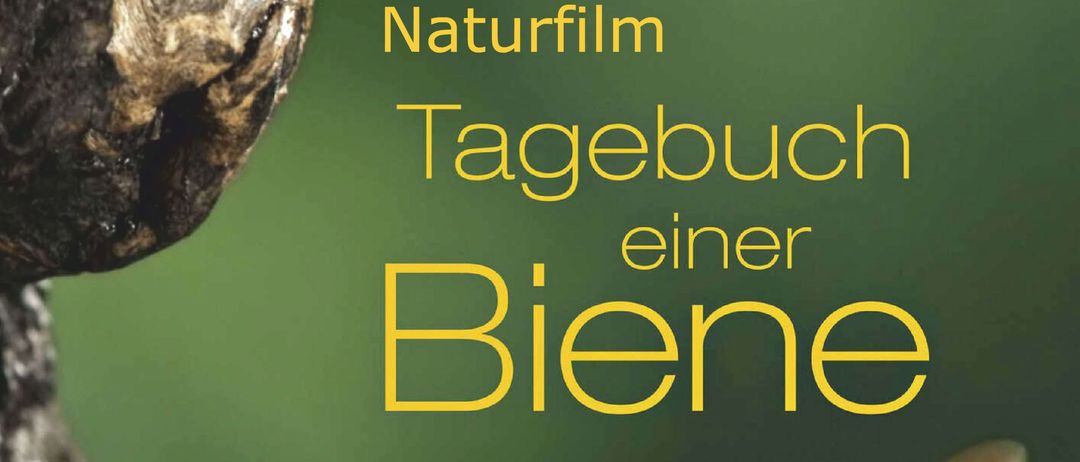 Veranstaltungsplakat für ein bienenthematisches Erlebnis am 8. April um 18:30 Uhr. Ort: ZIB NIKOAI. Eintritt: Freiwillige Spende. Ein inspirierendes Erlebnis für die ganze Familie. 1.000 km für eine Trophäenbiene.