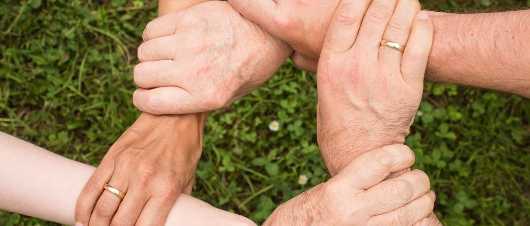 Mehrere Menschen halten sich auf einem Grasfeld die Hände und bilden einen Kreis. Eine Person trägt einen goldenen Ring.