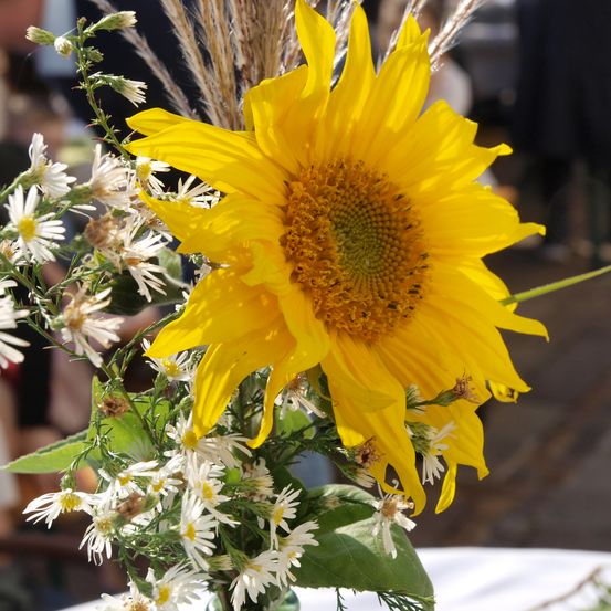 Bild enthält, Flower, Flower Arrangement, Plant, Flower Bouquet, Sunflower, Daisy, Person