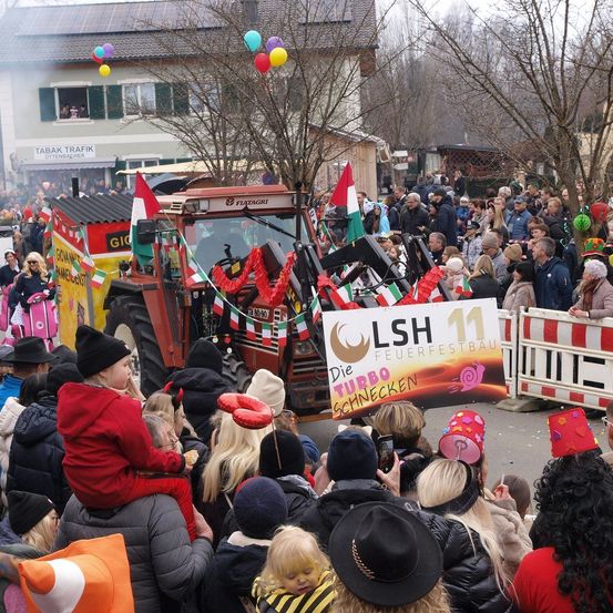 Bild enthält, People, Person, Adult, Female, Woman, Parade, Male, Man, Baby, Crowd