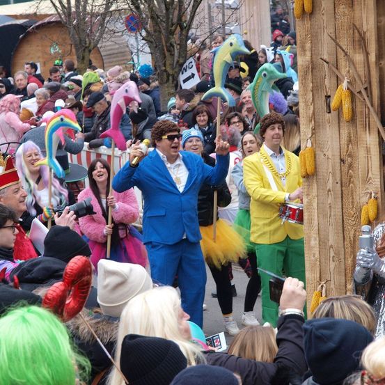 Bild enthält, Adult, Female, Person, Woman, People, Costume, Parade, Crowd, Carnival, Face