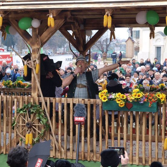 Bild enthält, Flower, Flower Arrangement, Flower Bouquet, Potted Plant, People, Person, Shelter, Crowd, Adult, Man