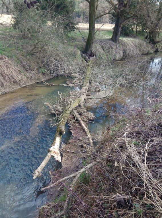 Ein Fluss mit einem umgestürzten Baum darüber, umgeben von kahlen Ästen und etwas Grün.