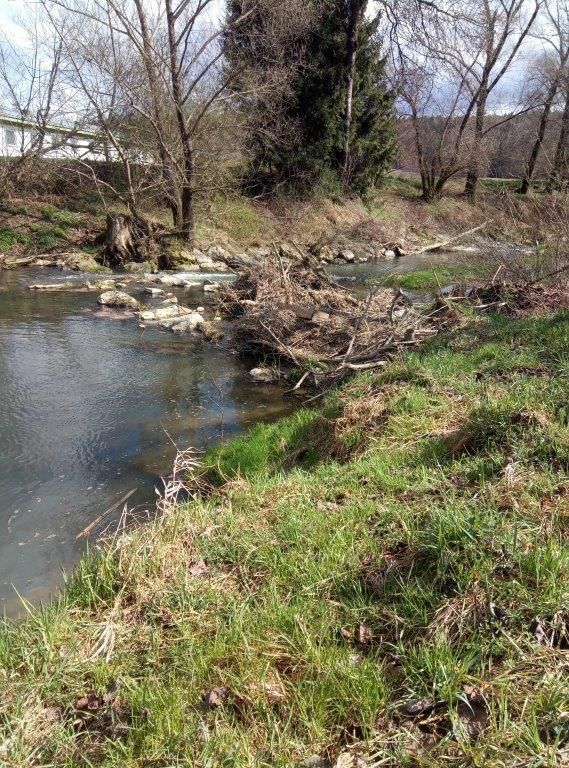 Ein kleiner Bach mit Steinen und Trümmern in einem Grasbereich in der Nähe eines Hauses.