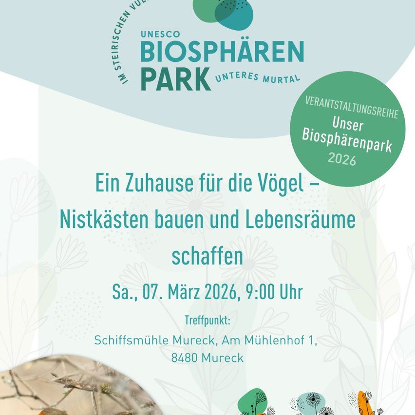 Plakat für eine Vogelhaus-Bauveranstaltung. Es heißt: 'Ein Zuhause für die Vögel - Nistkisten bauen und Lebensräume schaffen. Samstag, 7. März 2026, 9:00 Uhr. Treffpunkt: Schiffsmühle Mureck, Am Mühlenhof 1, 8480 Mureck.'