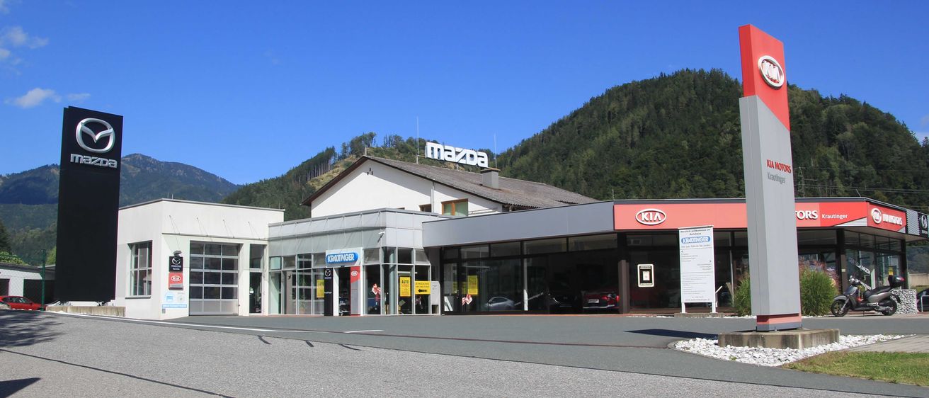 Bild enthält, Machine, Car, Vehicle, Person, Motorcycle, Pump, Gas Station, Handbag, Car Dealership