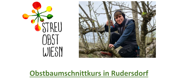 Plakat für einen Obstbaumschnitt- und Pflegekurs in Rudersdorf. Es zeigt ein Logo, ein Foto einer Person beim Obstbaumschnitt und Details zur Veranstaltung.