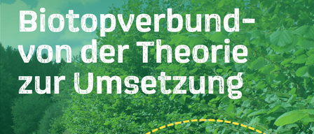 Plakat für eine Diskussion im Naturpark zum Thema Biodiversität von der Theorie zur Umsetzung. Das Datum und die Uhrzeit der Veranstaltung sind der 18. März 2026, Beginn um 18:00 Uhr. Der Ort ist Refektorium Schloss Pollau.