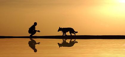 Ein Mann kniet mit seinem Hund am Flussufer, während die Sonne untergeht, ihre Spiegelungen im Wasser widergespiegelt.