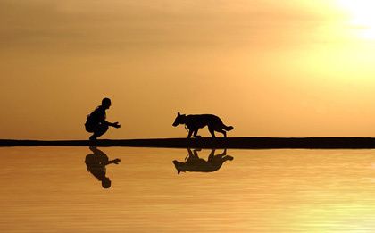 Ein Mann kniet mit seinem Hund am Flussufer, während die Sonne untergeht, ihre Spiegelungen im Wasser widergespiegelt.