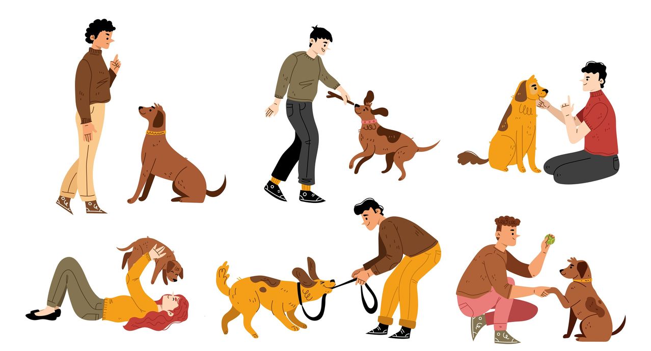 Ein Mann geht mit einem braunen Hund an der Leine. Ein anderer Mann spielt mit einem Hund und eine Frau fällt mit einem Hund um.