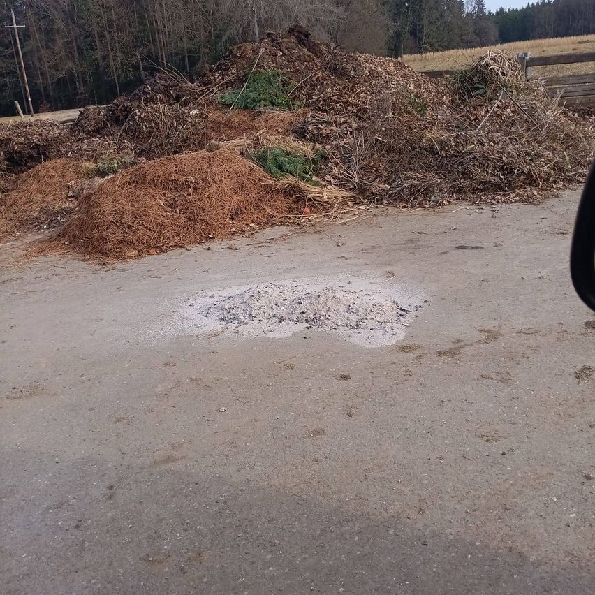 Ein Haufen brauner Mulch liegt auf einer Straße mit einem Zaun im Hintergrund. Der Mulch besteht hauptsächlich aus getrockneten Blättern und Zweigen.