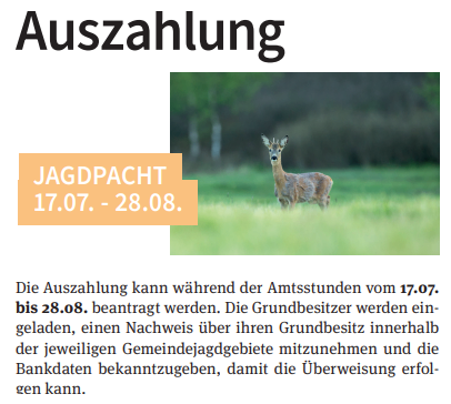 Ein Reh steht in einem grasigen Feld mit einem Schild darüber, das 'JAGDPACHT 17.07. - 28.08.' steht. Der Hintergrund ist unscharf mit Bäumen und Grün.