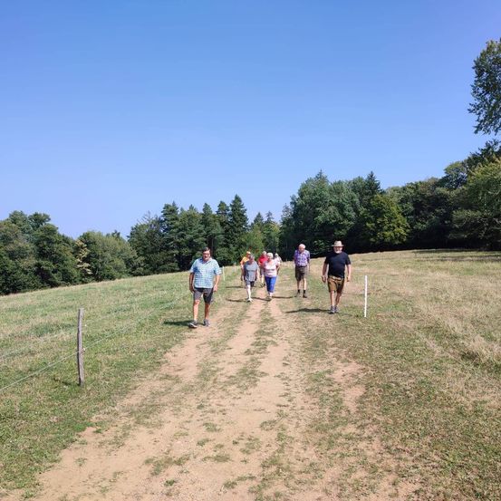 Bild enthält, Person, Walking, Sport, Volleyball, Volleyball Game, Outdoors, Nature, Baseball, Baseball Game