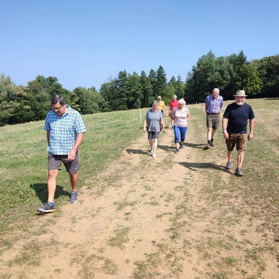 Bild enthält, Person, Walking, Adult, Male, Man, Shoe, People, Vegetation, Grass, Shorts