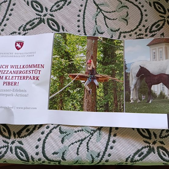 Bild enthält, Advertisement, Poster, Business Card, Paper, Text, Person, Animal, Horse, Mammal