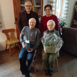 Bild enthält, Pants, Potted Plant, People, Person, Photography, Portrait, Adult, Male, Man, Furniture