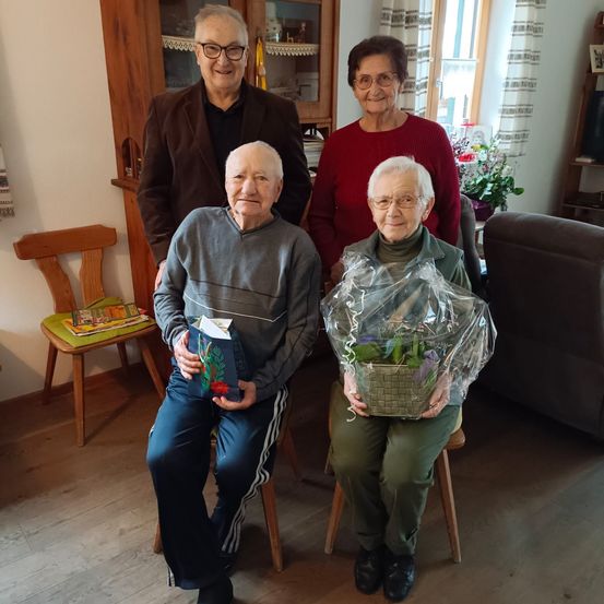 Bild enthält, Pants, Potted Plant, People, Person, Photography, Portrait, Adult, Male, Man, Furniture