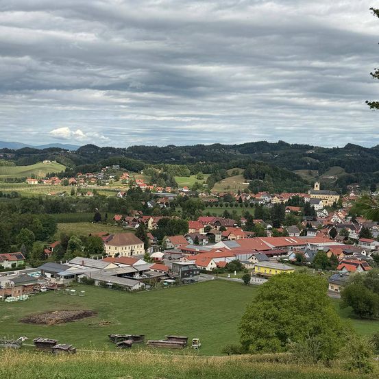 Luftaufnahme einer kleinen Stadt mit vielen rotgedeckten Gebäuden, umgeben von grünen Feldern und Bäumen unter einem bewölkten Himmel.