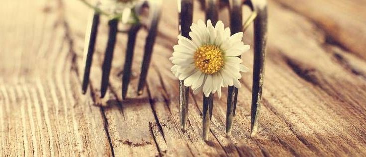 v1_migrated_image_26497278