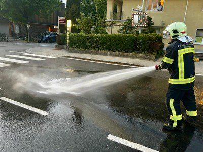 Ein Feuerwehrmann in voller Ausrüstung sprüht Wasser auf eine nasse Straße und erzeugt eine Nebelwolke. Die Szene ist im Freien mit Gebäuden und Grünpflanzen im Hintergrund.