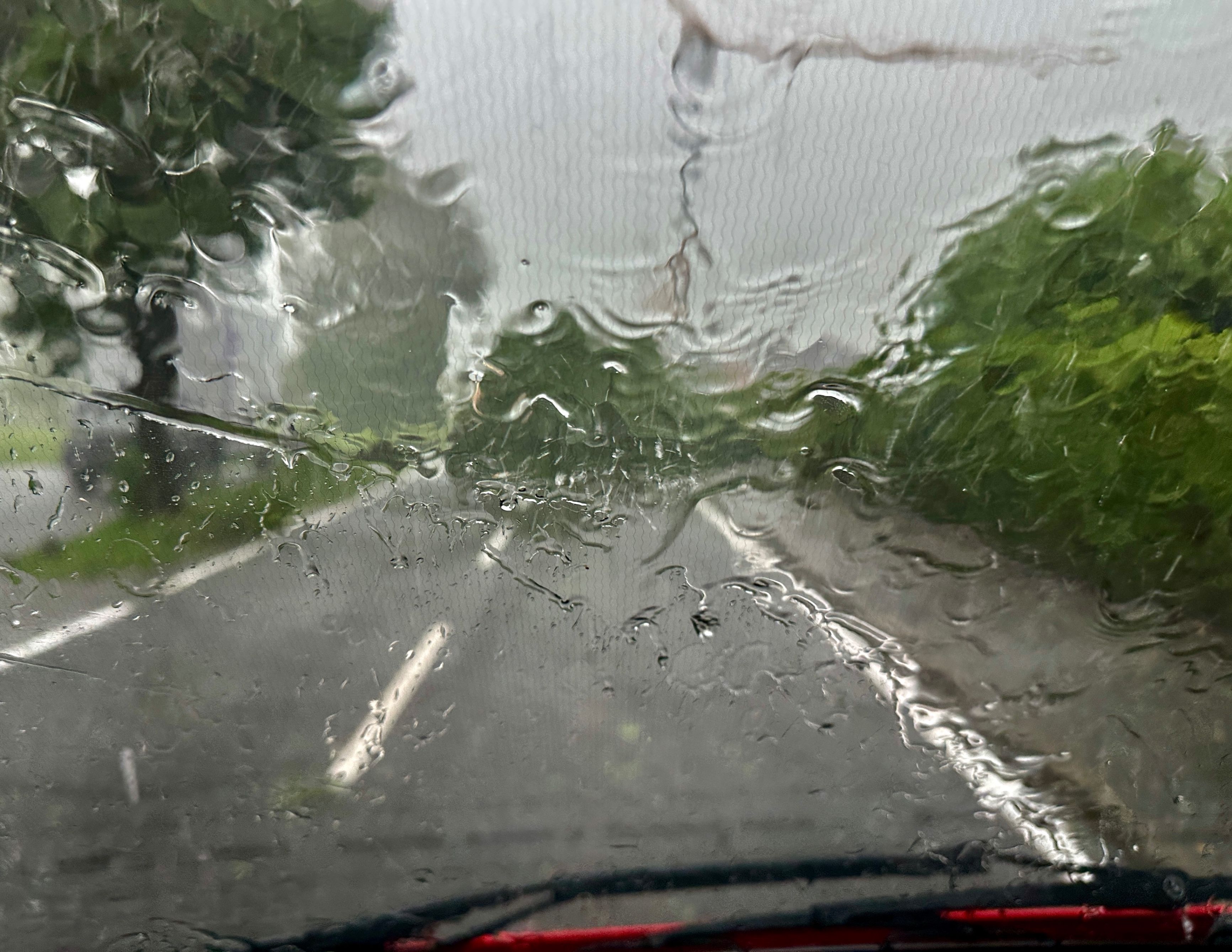 Die Sicht aus dem Autofenster zeigt eine verregnete Straße mit grünen Bäumen und Pflanzen an den Seiten.