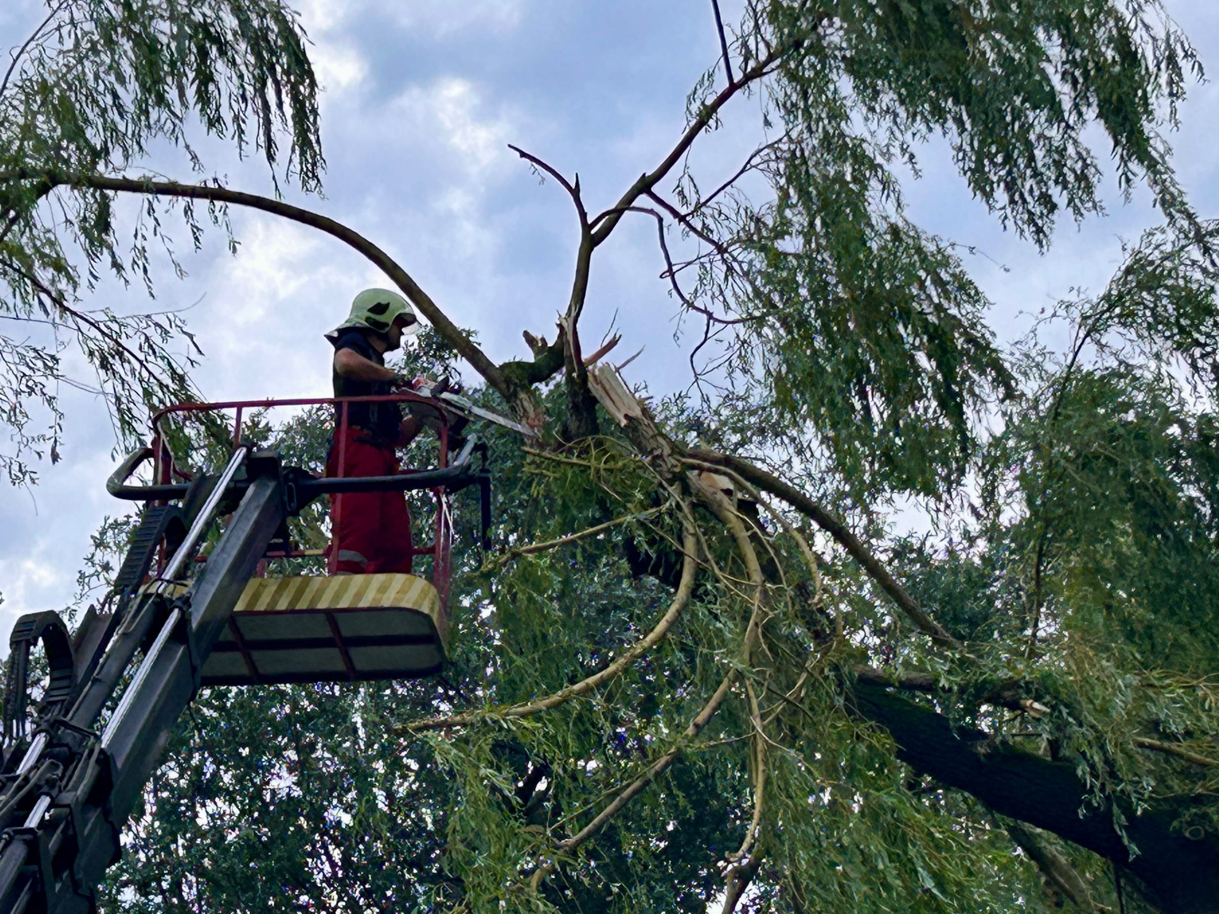 Eine Person in einer Arbeitsbühne schneidet Äste von einem Baum. Die Person trägt einen grünen Helm und rote Kleidung.
