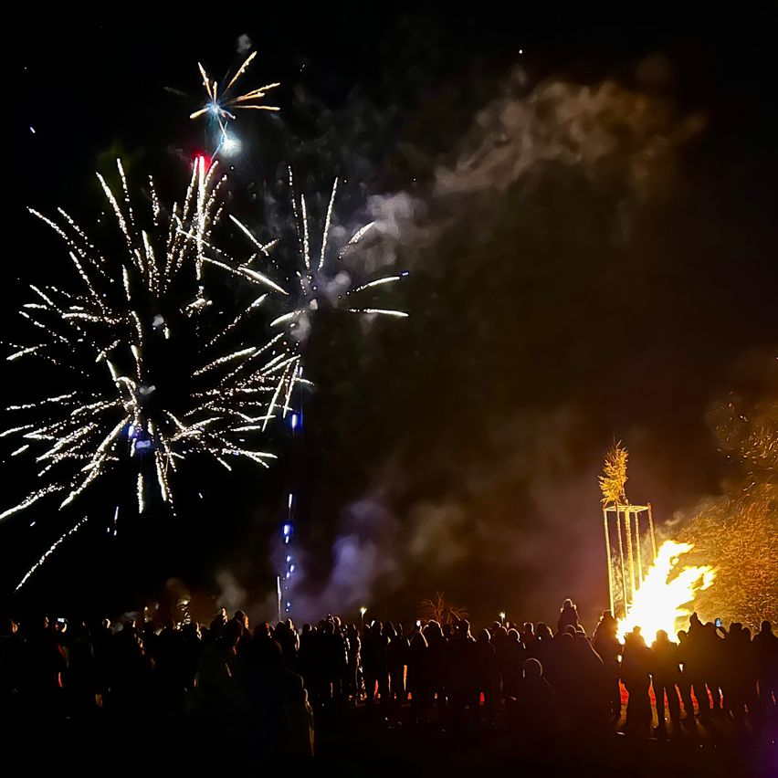 Eine Menschenmenge versammelt sich unter einem Nachthimmel, um Feuerwerke zu beobachten, die über einem brennenden Baum explodieren.