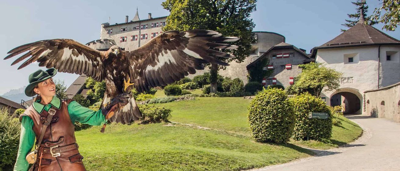 Bild enthält, Animal, Bird, Outdoors, Grass, Plant, Nature