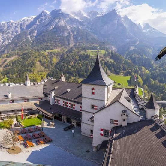 Bild enthält, Animal, Bird, Architecture, Building, Outdoors