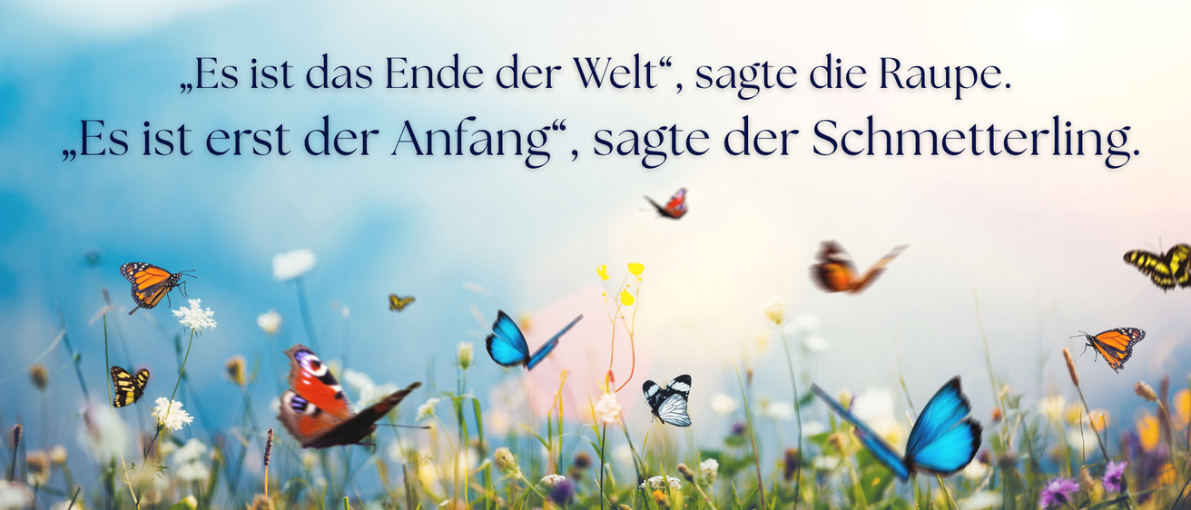Ein Blumenfeld mit mehreren fliegenden Schmetterlingen. Textüberlagerung auf Deutsch lautet: 'Das Ende der Welt ist der Anfang des Schmetterlings.'
