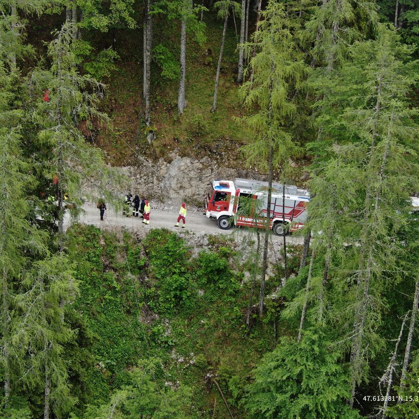Eine Luftaufnahme eines Feuerwehrwagens, der auf einem unbefestigten Weg in einem Wald geparkt ist, mit Personen in Sicherheitsausrüstung, die darauf zugehen.