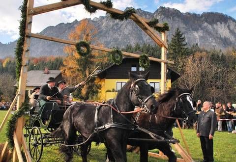 Zwei schwarze Pferde ziehen eine Kutsche mit Menschen darauf auf einem Feld mit Bergen im Hintergrund.