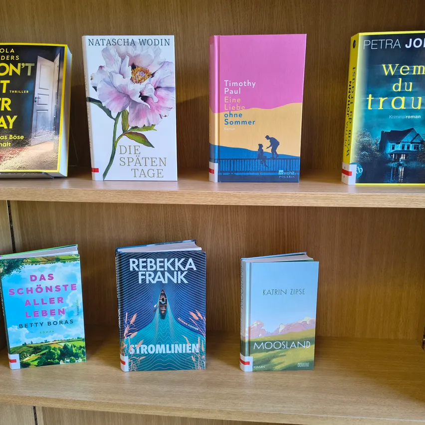 Ein hölzerne Regal zeigt sechs Bücher: 'Don't Turn It On' von Ola, 'Die Spaten Tage' von Natascha Wodin, 'Eine Liebe Ohne Sommer' von Timothy Paul, 'Wem Du Traust' von Petra Joy, 'Das Schönste aller Leben' von Betty Boras und 'Stromlinien' von Rebekka Frank.