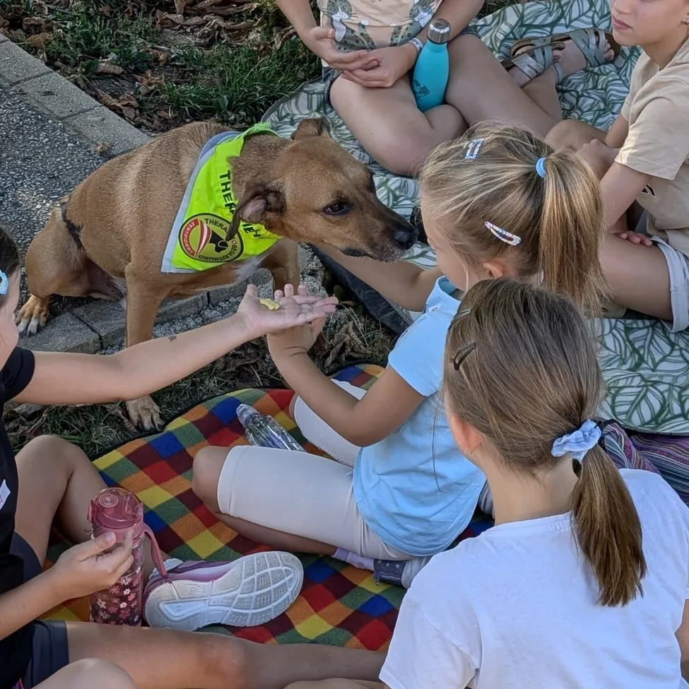 Eine Gruppe von Kindern sitzt auf einer Decke mit einem Therapiehund, der ein gelbes Halsband trägt. Sie interagieren mit dem Hund und genießen ihre Zeit miteinander.