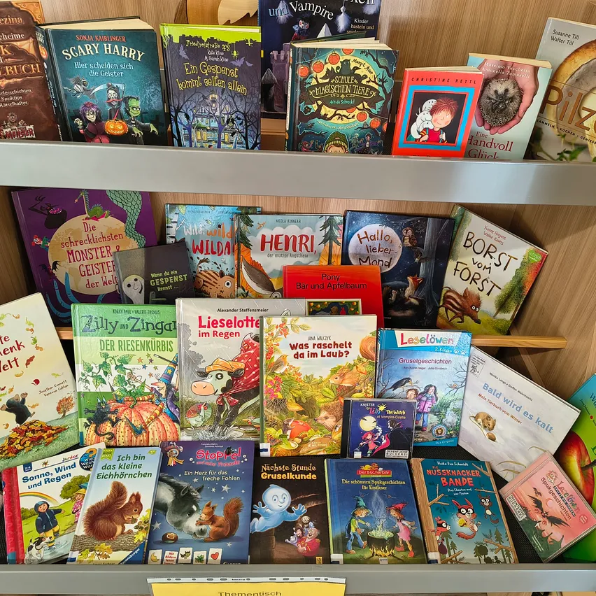 Ein Holzregal gefüllt mit Kinderbüchern, hauptsächlich auf Deutsch, mit verschiedenen Illustrationen und Titeln.