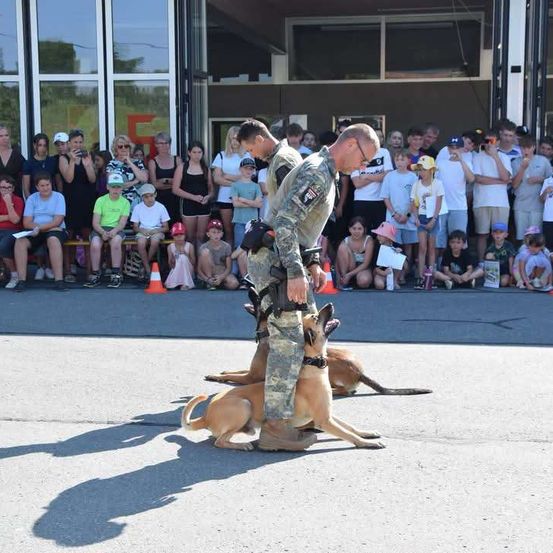 Zwei Militärangehörige mit Hunden führen vor einer Zuschauermenge vor.