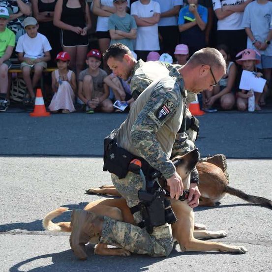 Zwei Militärangehörige knien mit ihren Diensthunden auf dem Boden bei einer öffentlichen Veranstaltung, während eine Menschenmenge im Hintergrund zusieht.