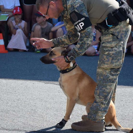 Ein Mann in Militäruniform streichelt einen Hund bei einer öffentlichen Veranstaltung, während mehrere Menschen im Hintergrund zusehen.