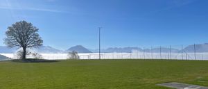 Bild enthält, Ground, Grass, Plant, Field