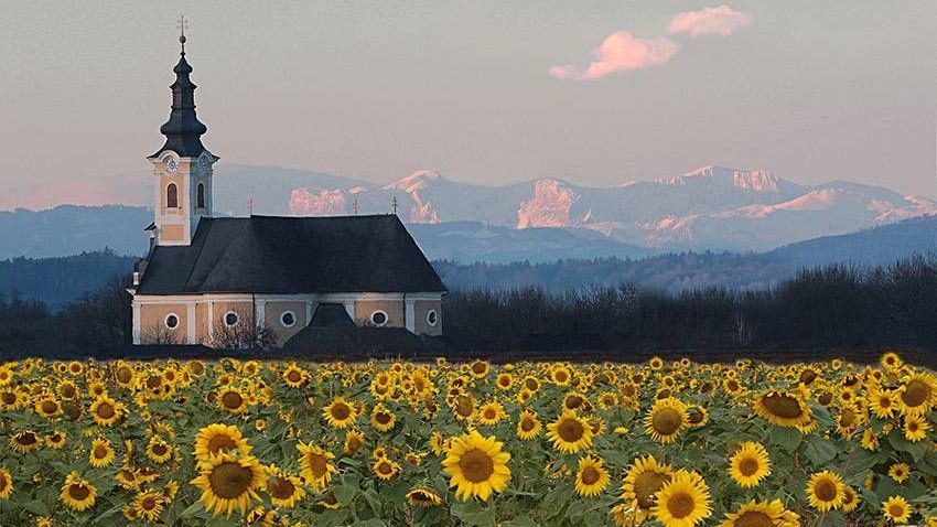 v1_migrated_image_20751062