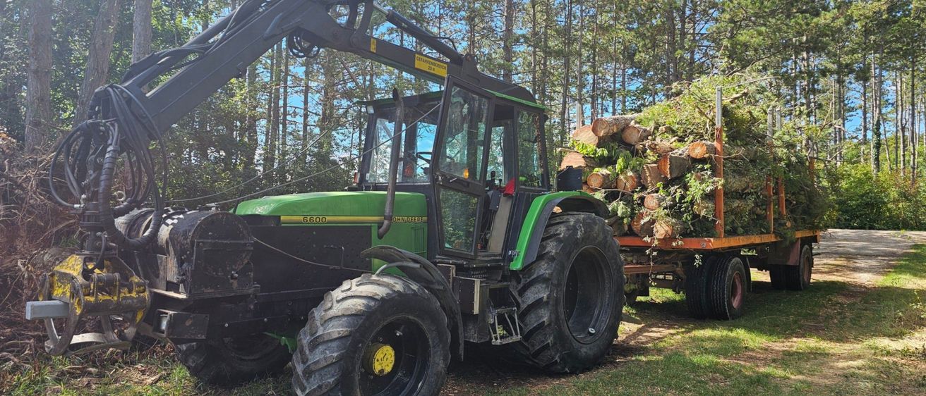 Ein großer grüner Traktor mit einer Hebevorrichtung steht in einem Wald mit einem Anhänger voller Baumstämme.