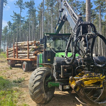 Ein Holztransporter mit einem Traktor steht in einem Wald. Der Lastwagen hat einen großen Haufen Holz in seinem Anhänger.